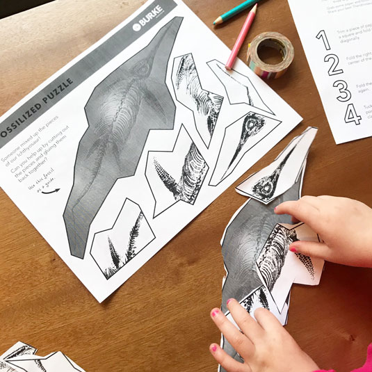 Mesozoic Monsters child puts together a paper puzzle of an ichthyosaur