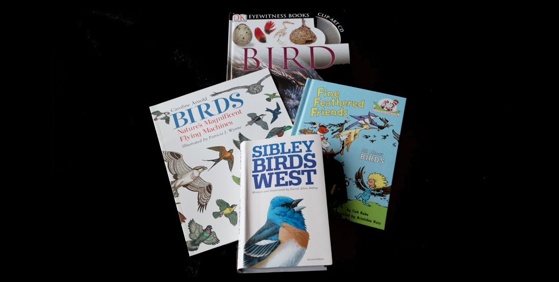 birds books in the birds burke box