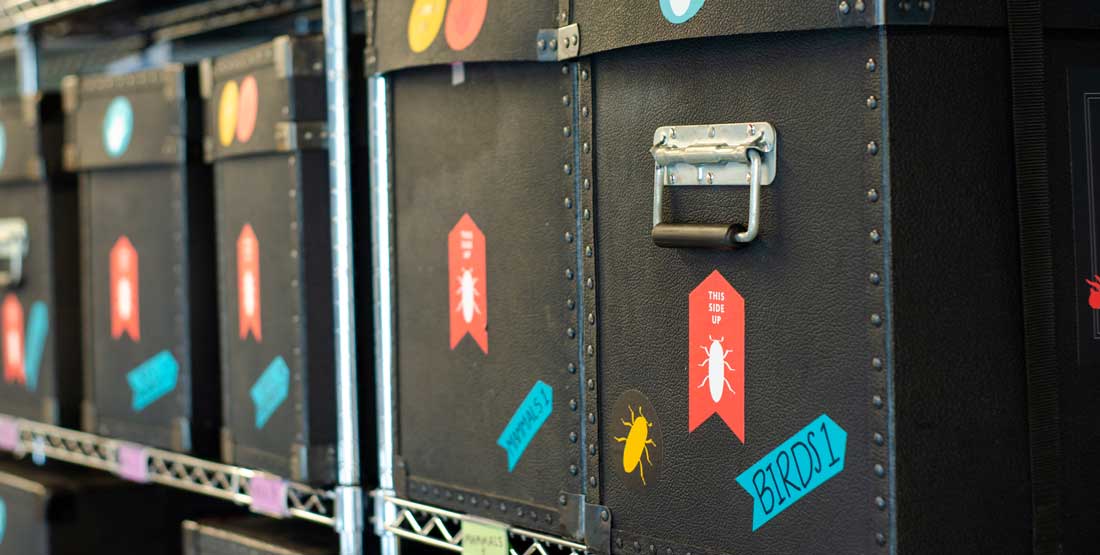 exterior of burke boxes