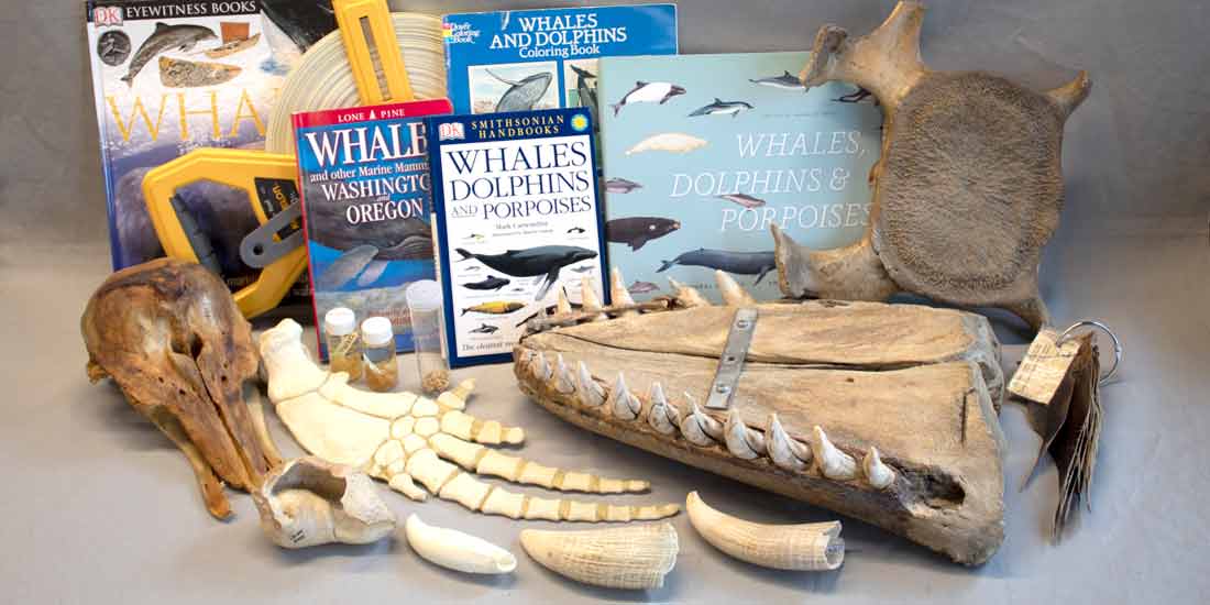 whales burke box contents