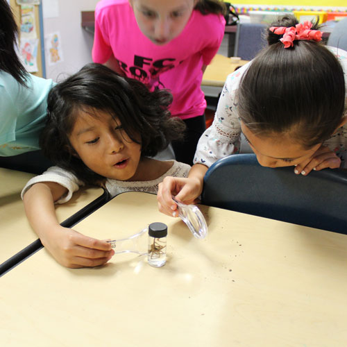 BurkeMobile children look at object with a magnifying glass
