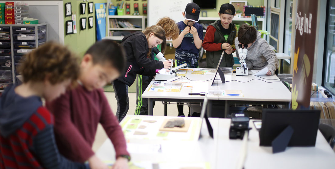 students look at microfossils