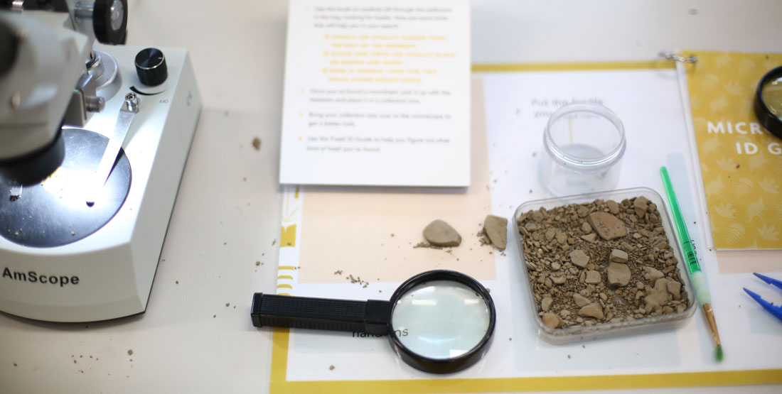 magnifying glass and tray of sediment