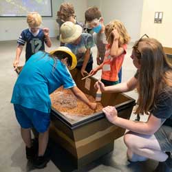 kids at camp participate in a dig pit activity