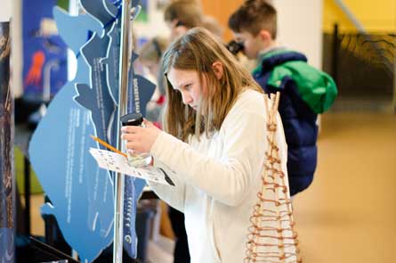 Mystery Museum Takeover a student looks at a fish specimen in a clear glass jar during a school program