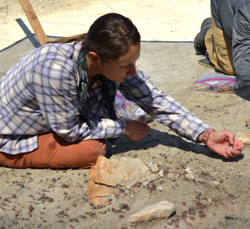 molly working in the field during DIG 2023