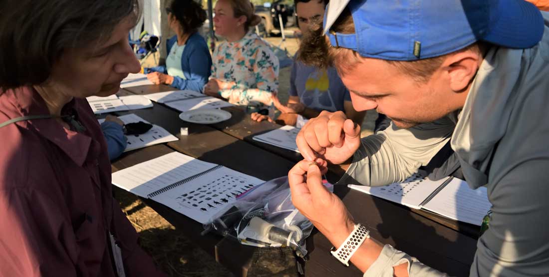 DIG volunteer, Christopher Freidhoff, helps a participant ID microfossil example.
