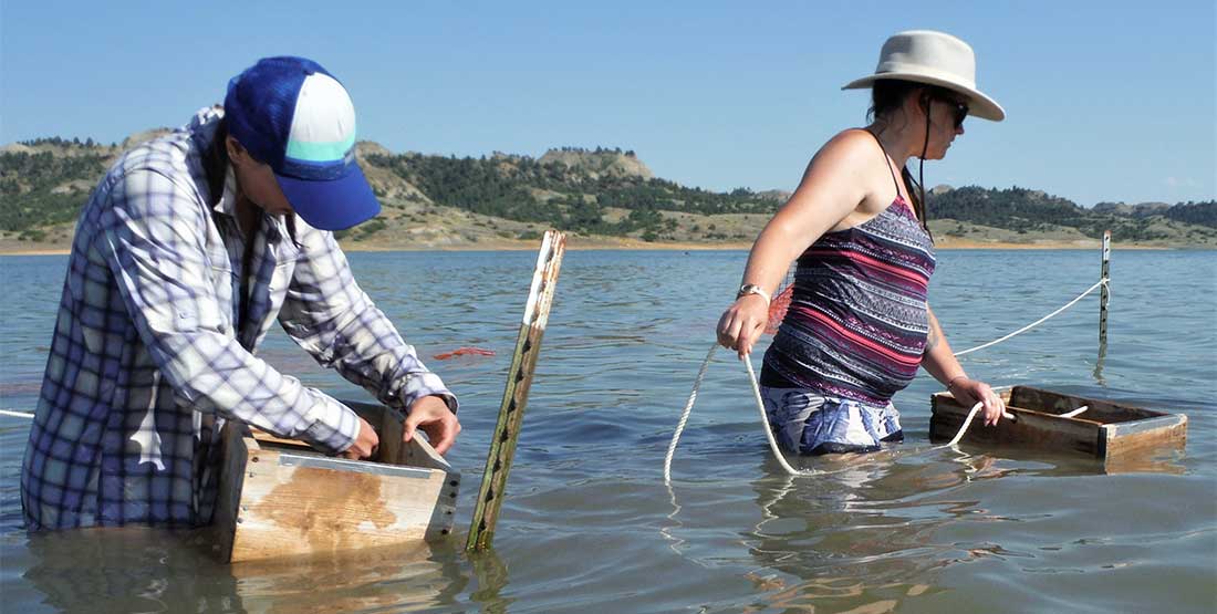 Participants help screenwash sediment in the lake near camp to remove loose dirt and debris from the fossiliferous sample.