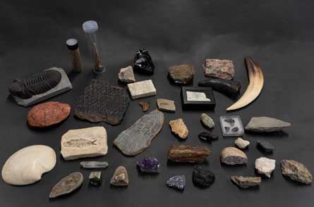 detail of contents of the DIG FOundations box
