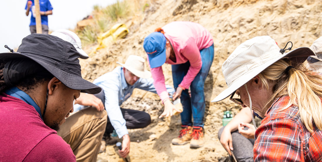 dig field school participants work at the site