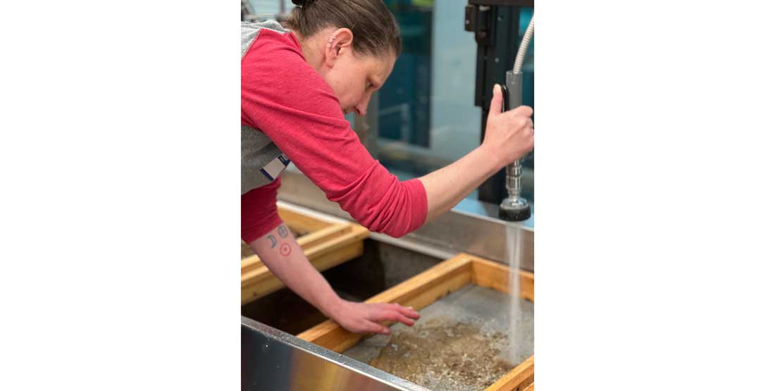 dig field school participant screenwashes microfossils