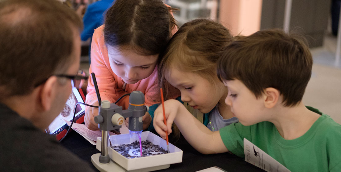 children look at fossils through a microscope