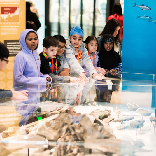 students on a field trip look at the fossil whale on display