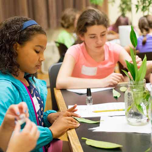 participants learn about plant specimens