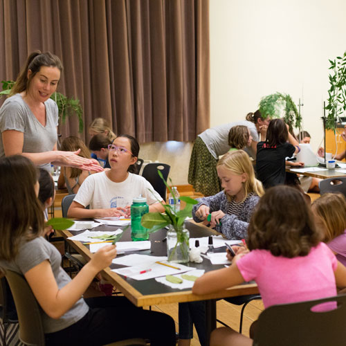 participants learn about plant specimens