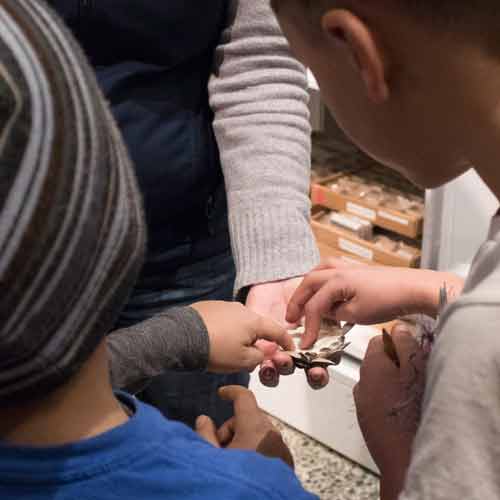 children touching a shell
