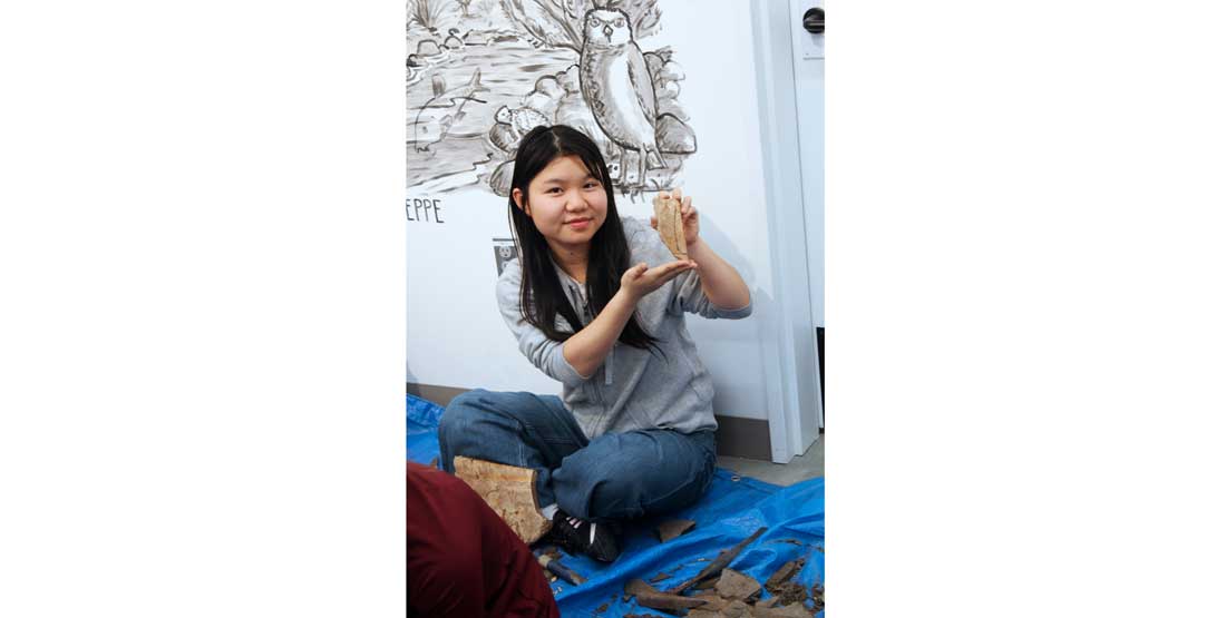 paleobotany participant