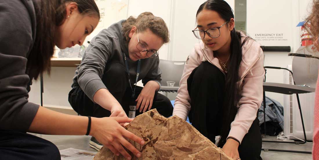 paleobotany vis participants