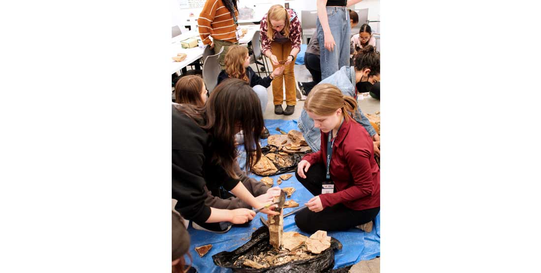 paleobotany vis participants