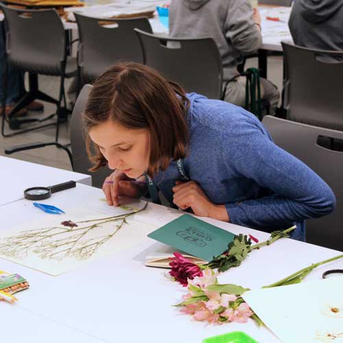 hs voices in science participants