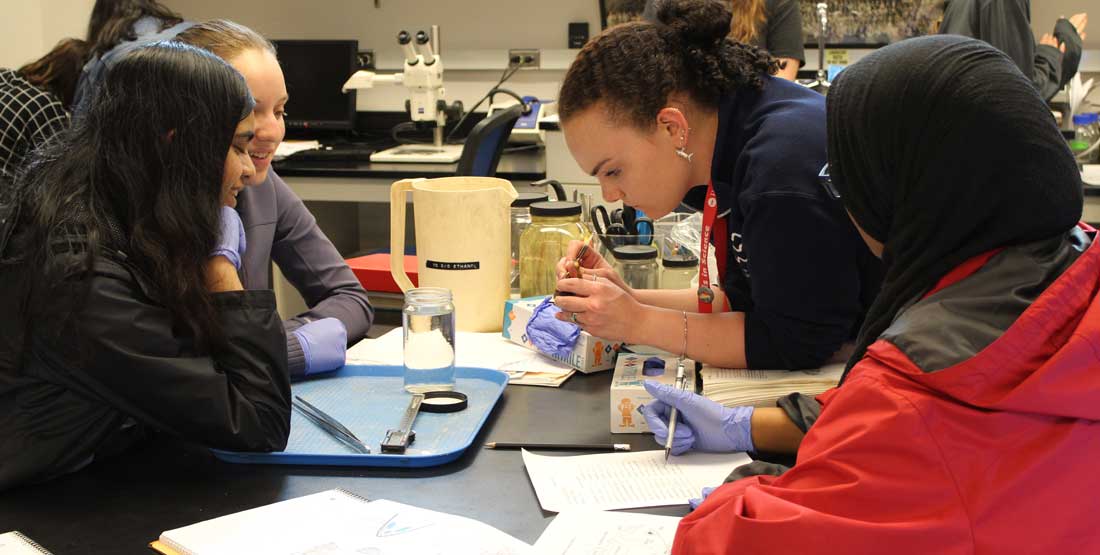 students during ichthyology activity