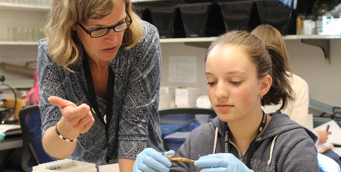 student looks at fish speciment