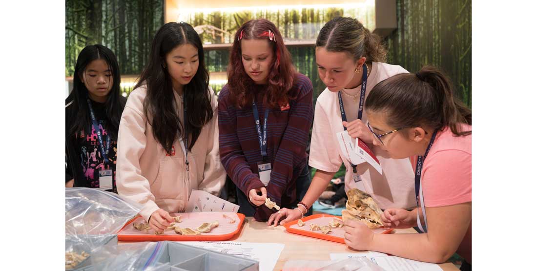 voices in science participants learn about archaeology