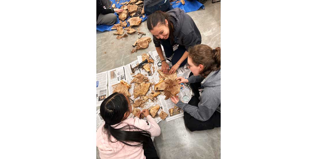 voices in science participants learn about paleobotany