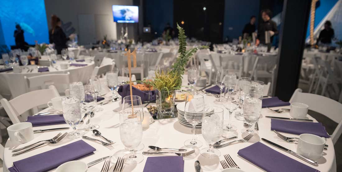 seated dinner place settings