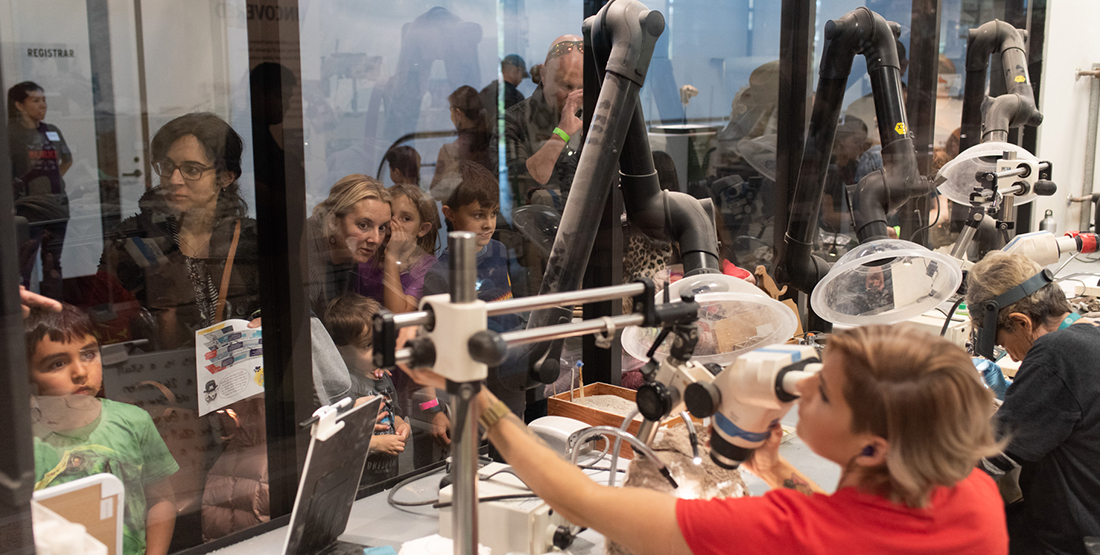 Visitors looking at paleontologists working on fossils