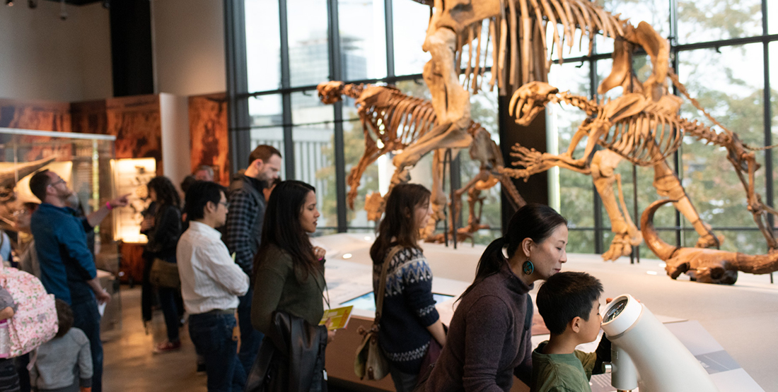Visitors looking at a sabertooth cat and giant sloth fossils
