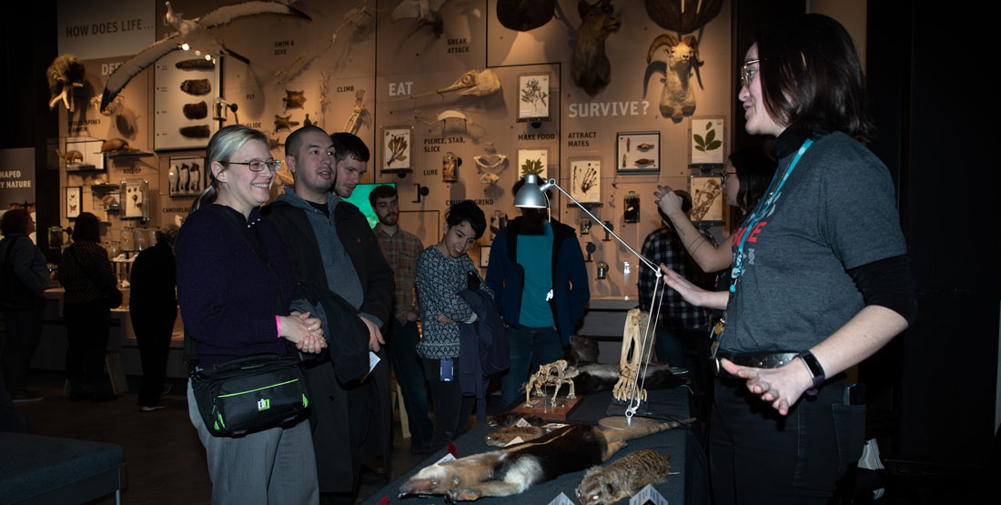 guests learn about specimens at an after-hours event