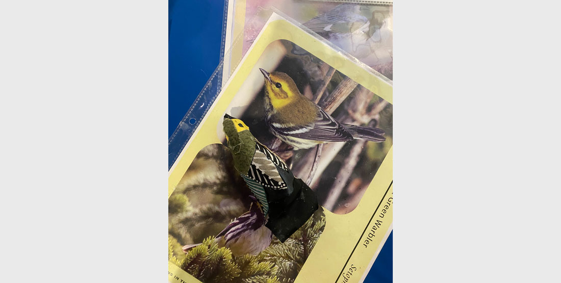 fabric bird sculpture and a picture of a bird