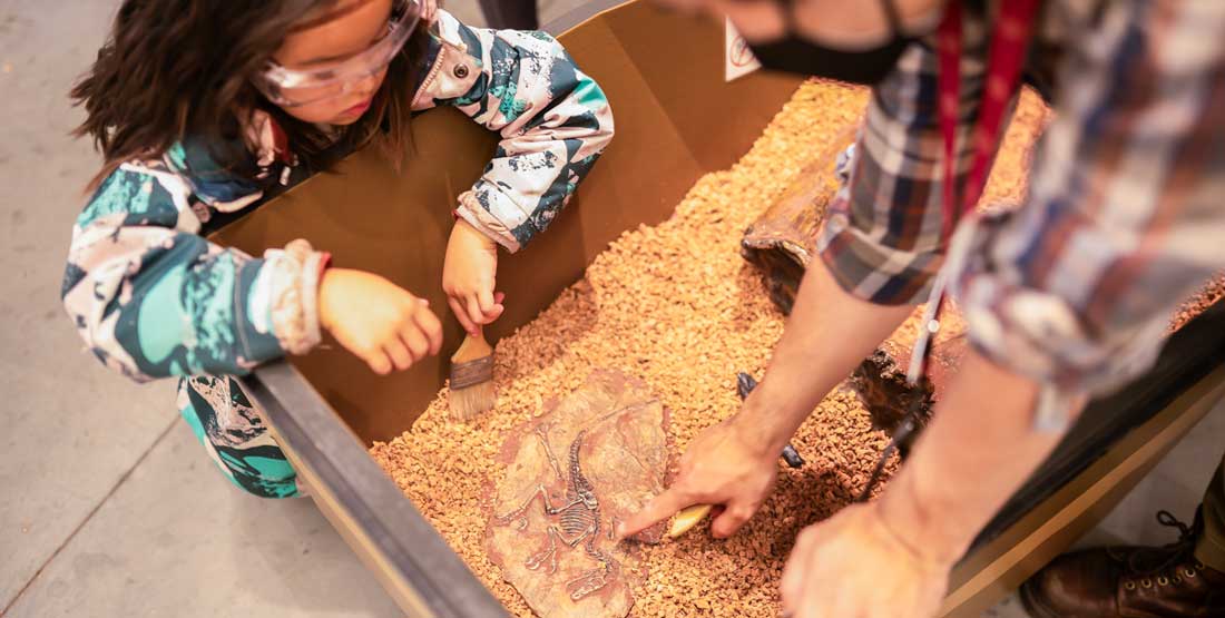 dig pit at dino fest