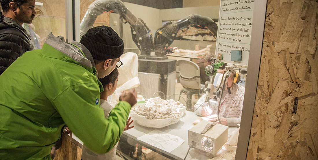 A father and his child peer into the glass of the fossil prep lab