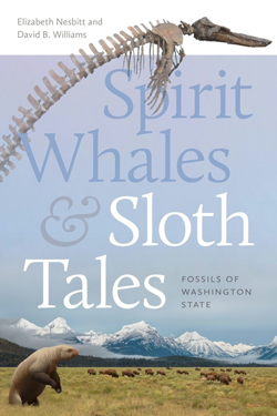 cover of spirit whales and sloth tales book