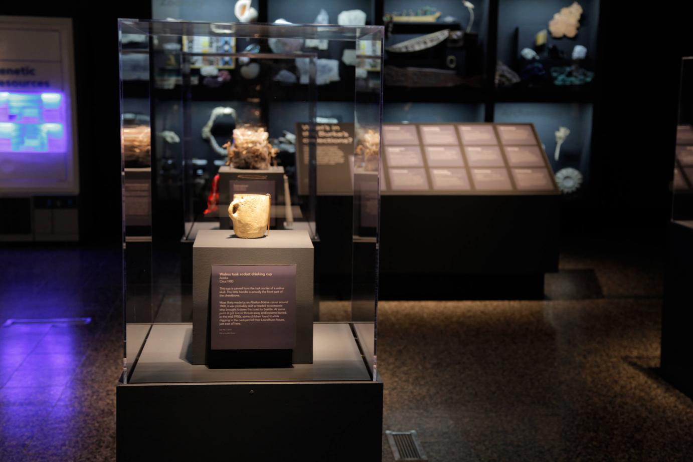 a mug and other artifacts in a gallery display