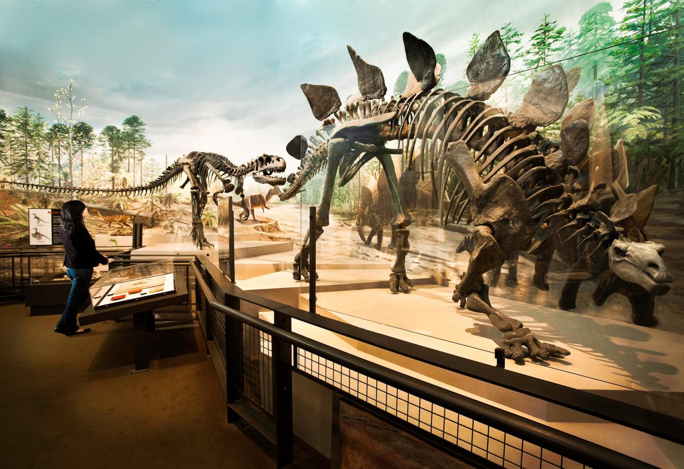a woman looks at an articulated dinosaur in the former gallery