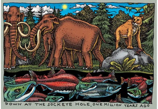 illustration—mammoths walk above a body of water filled with salmon