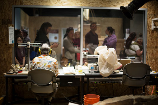 visitors look into the temporary fossil prep lab in the testing, testing 1-2-3 exhibit