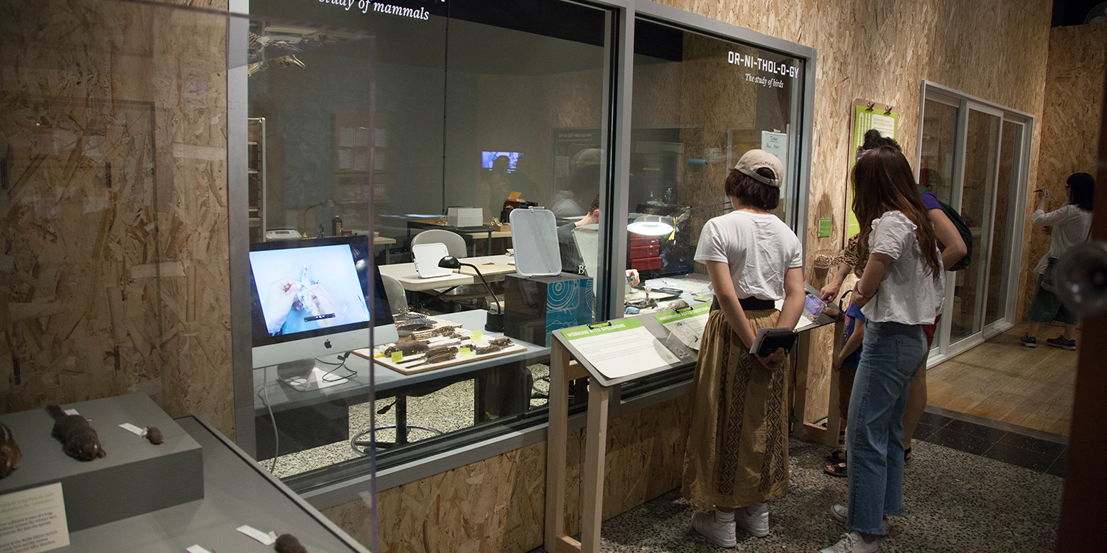 A group of people peer into the windows of a workroom