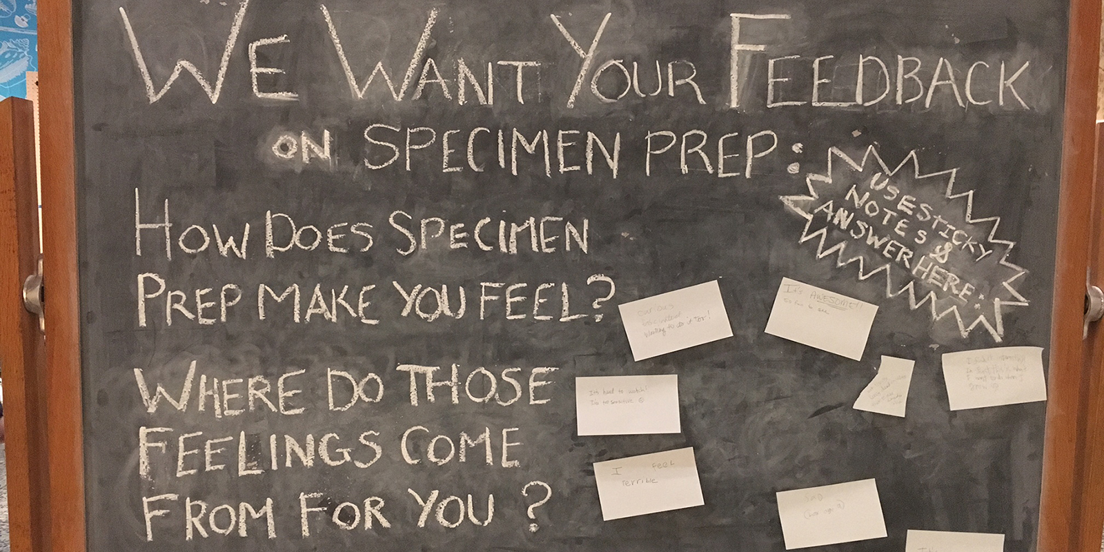 A blackboard with the words "We want your feedback on specimen prep: How does specimen prep make you feel? Where do those feeling come from for you?" then "Use sticky notes and answer here."We installed a board to directly ask for visitor feedback.