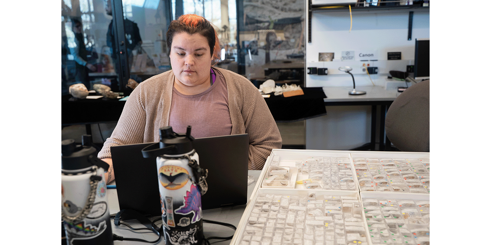 Visiting researcher Deanna Flores at the Burke Museum paleontology lab 