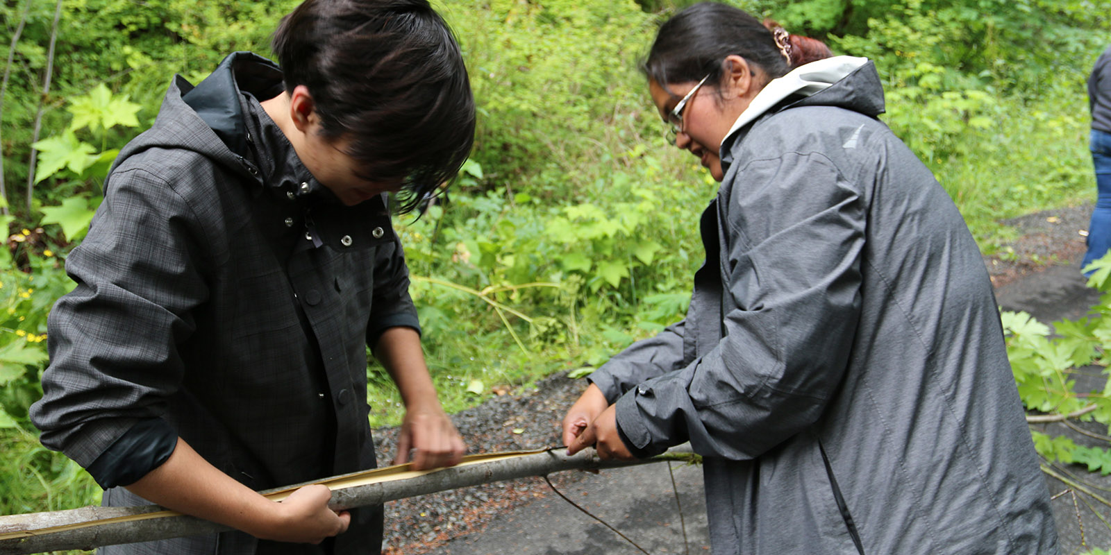 Two people strip bark from a branch