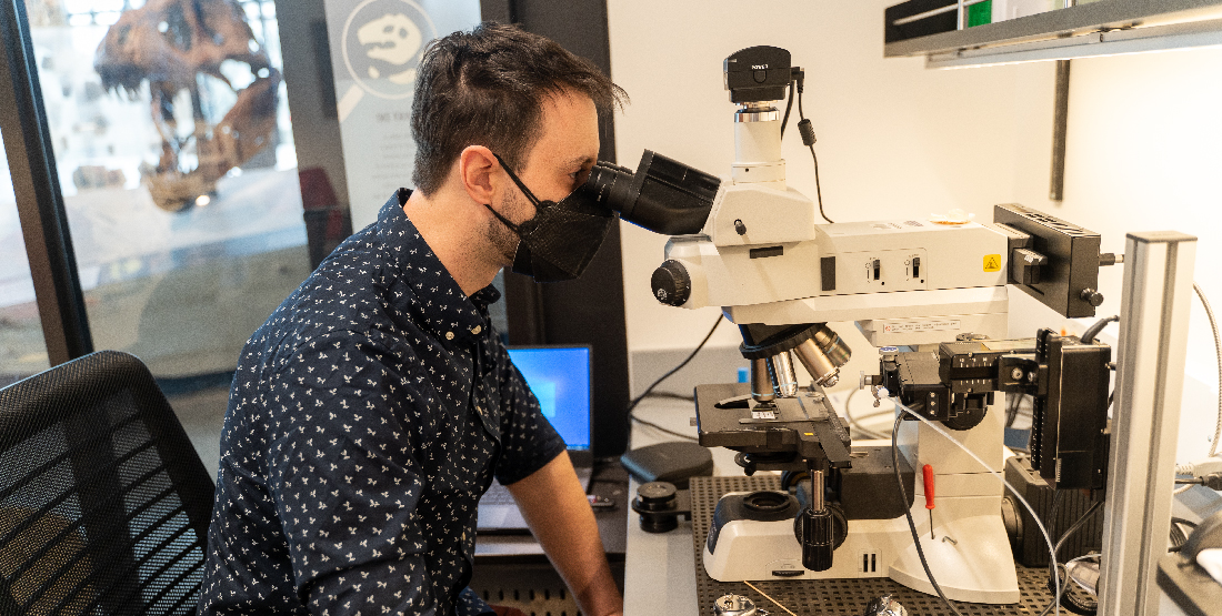 Jeffrey Benca inspects pollen grains under a microscope in the Burke Museum paleontology lab.
