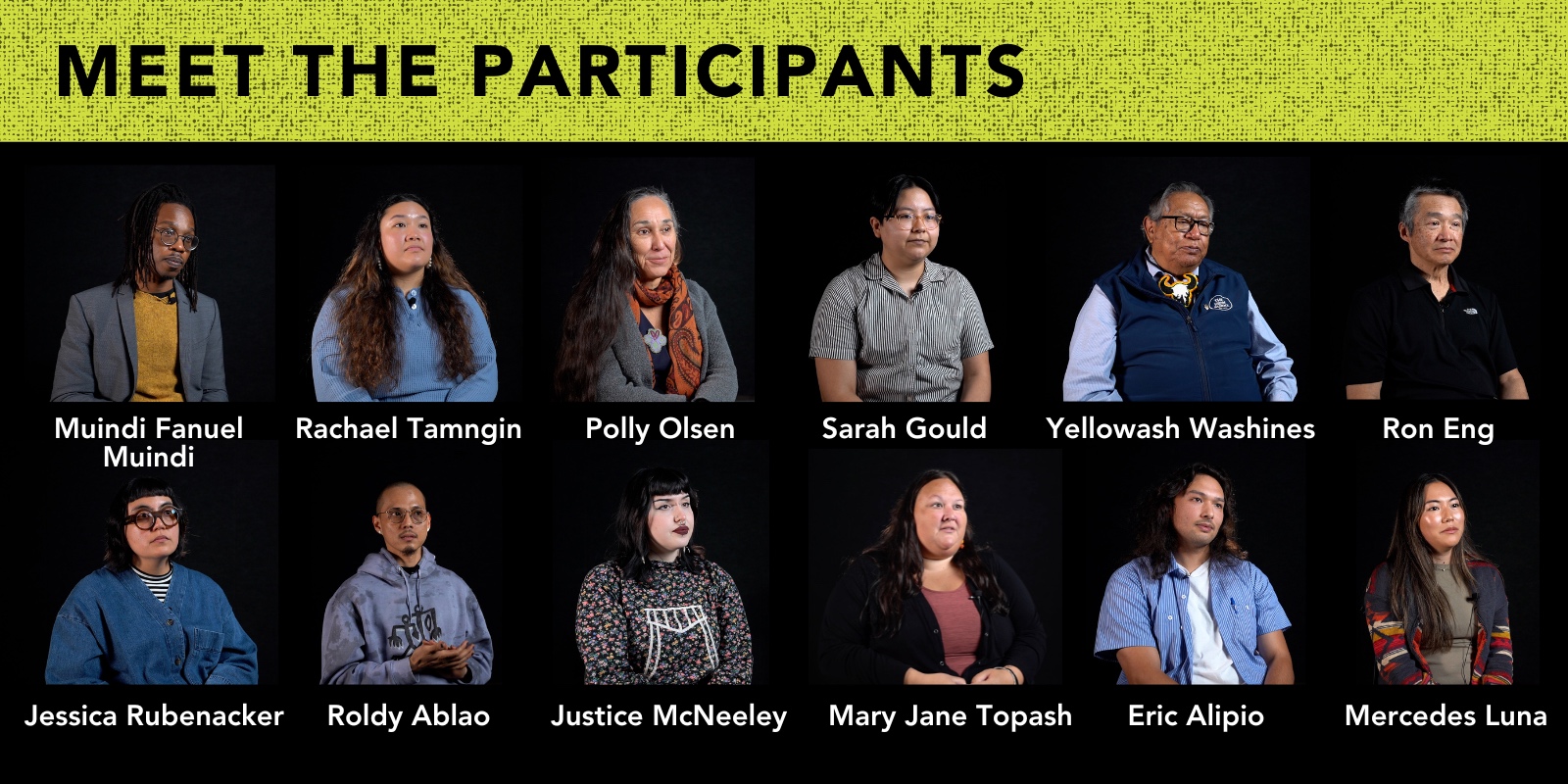 Green headline that says "meet the participants" with small photos of the 12 participants arranged in two rows of six people with their names spelled underneath.