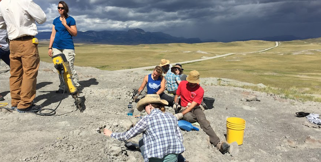 A group of people on a fossil site digging