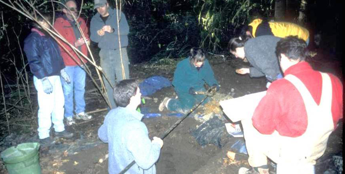 A group of people examine an archaeological site