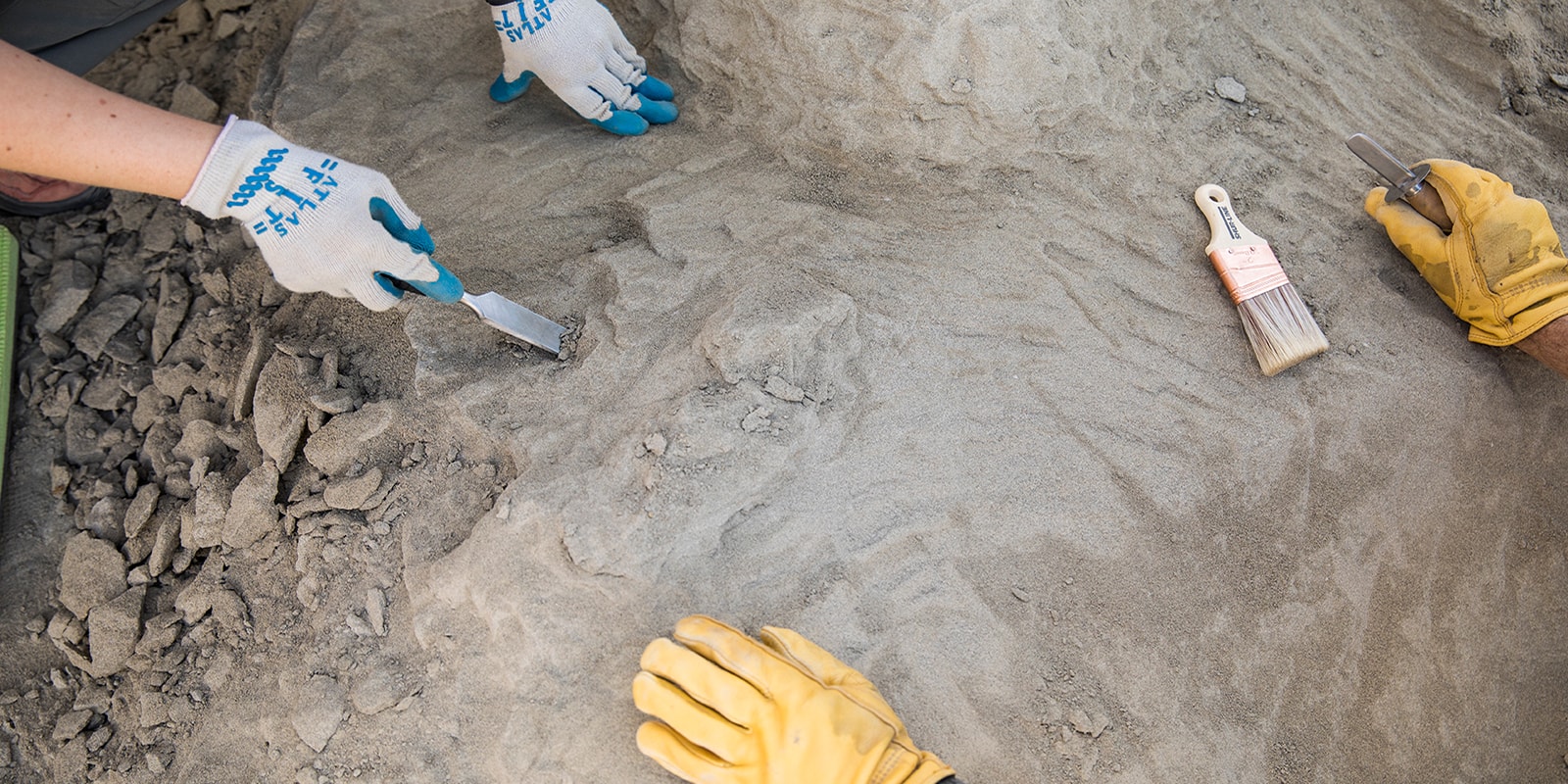 A close up view of a pair of hands scraping away rock on the ground