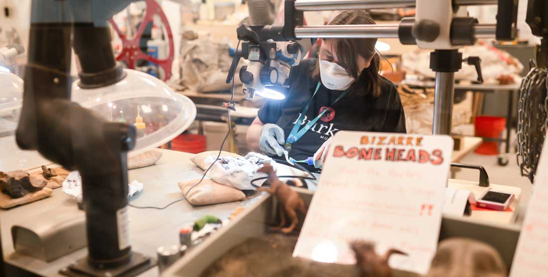 fossil prep lab at the burke museum